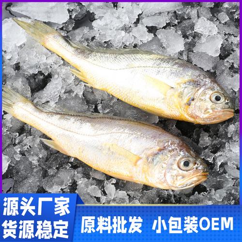 黄花鱼冰鲜冷冻海捕鱼深海水产海鱼生鲜4/6小黄鱼厂家直供批发
